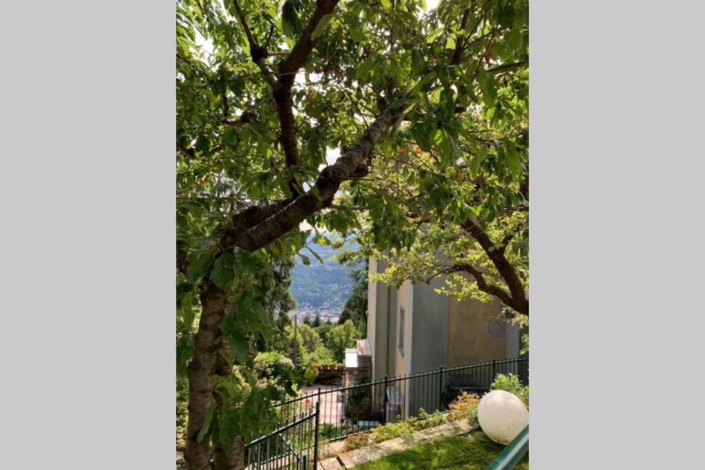 The Cherry Garden House Loft Lusso Appartement Brunate Buitenkant foto